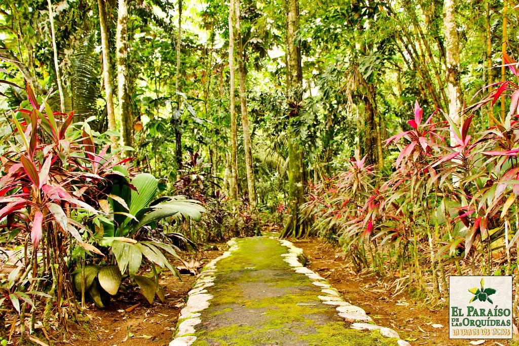 Hosteria El Paraiso De Las Orquideas Archidona Luaran gambar