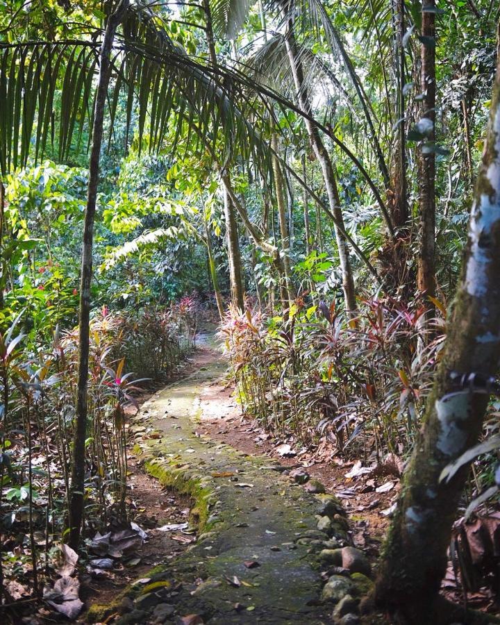 Hosteria El Paraiso De Las Orquideas Archidona Luaran gambar
